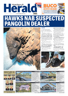 Hoedspruit Herald