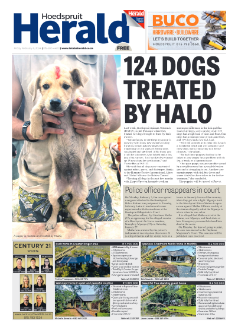 Hoedspruit Herald