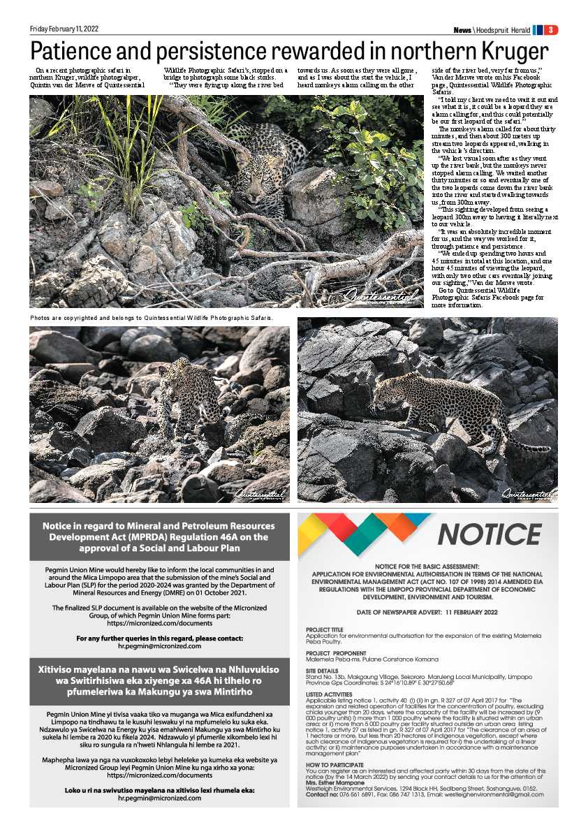 Hoedspruit Herald 11 Feb 2022 page 7