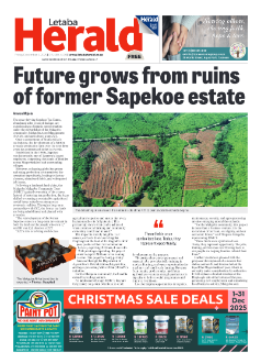 Letaba Herald