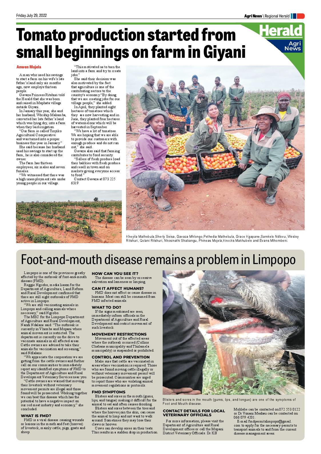 Letaba Herald page 13
