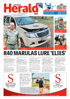 Letaba Herald