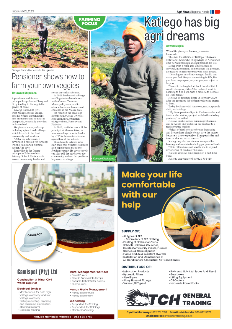 Letaba Herald page 11