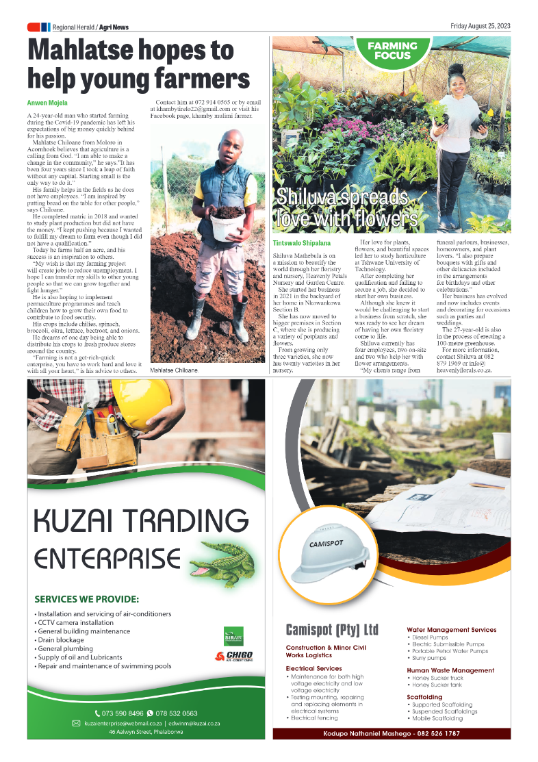 Letaba Herald page 8