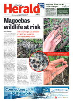Letaba Herald 20 March 2026