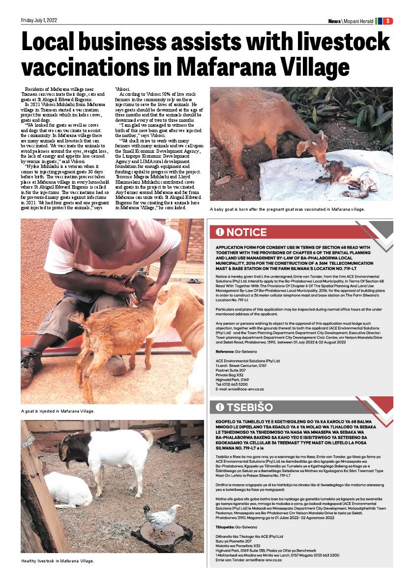 Mopani Herald page 11